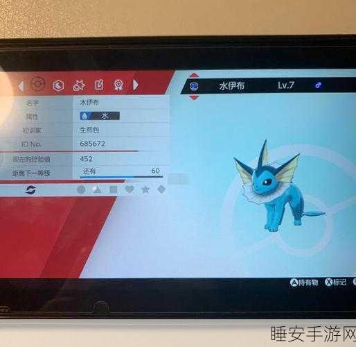精灵宝可梦剑盾,全面揭秘伊布进化秘籍与独特进化路径
