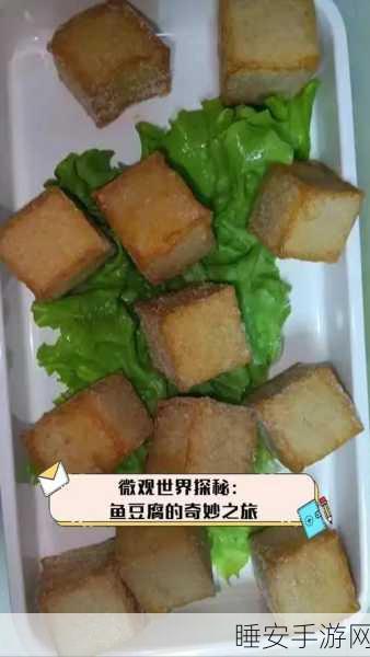 探秘我的世界豆腐工艺,解锁豆腐世界的奇妙之旅