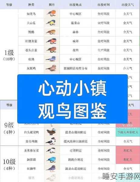 心动小镇扬帆起航，全面攻略与任务细节揭秘