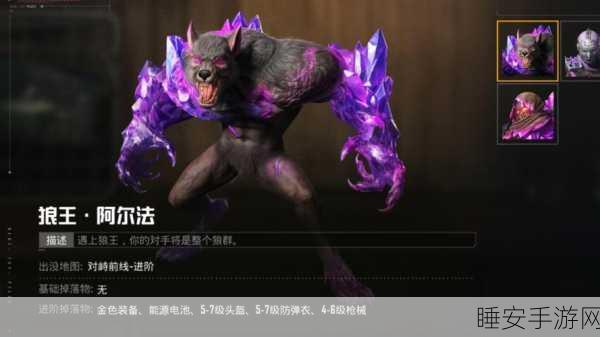 狼王2，暗黑复仇者震撼归来，全新赛事细节揭秘