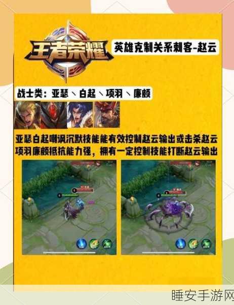 王者荣耀顶尖攻略，赵云实战绝技与KPL赛场致胜策略揭秘