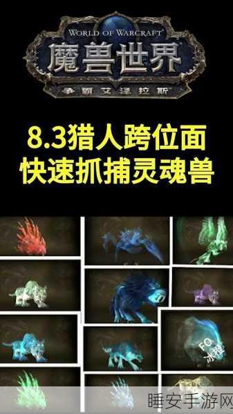 魔兽世界盆地灵魂兽深度揭秘，追寻稀有宠物，探索未知魅力
