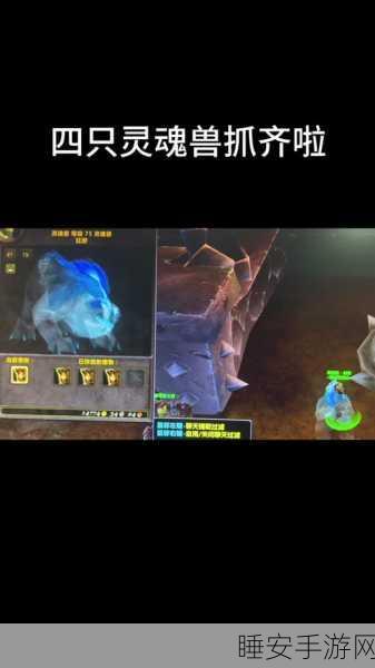 魔兽世界盆地灵魂兽深度揭秘,追寻稀有宠物,探索未知魅力