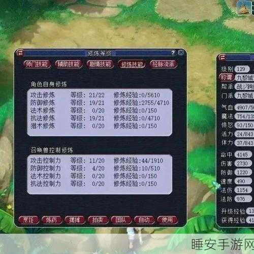 梦幻西游深度解析,探寻缘分天空服务器的独特魅力与玩家故事