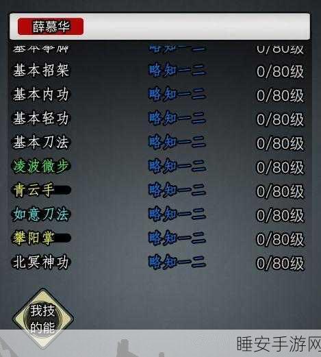 放置江湖第六章古墓迷影，详尽攻略与绝密技巧大揭秘