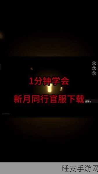 新月同行，官服与B服深度对比，玩家必知的差异详解