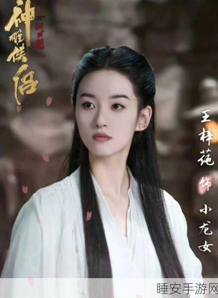 神雕侠侣2手游2025年春节后侠客养成攻略,打造最强阵容,笑傲江湖!