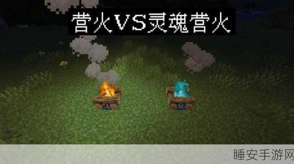 我的世界蜂蜜大揭秘，用途多样，探索无限可能