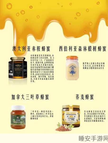 我的世界蜂蜜大揭秘，用途多样，探索无限可能