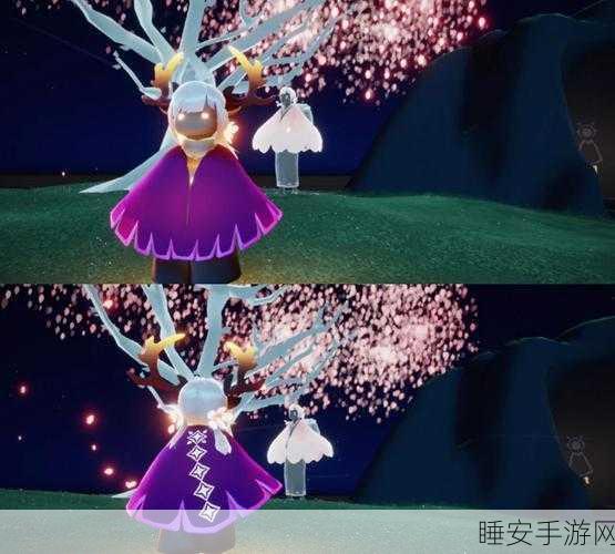 光遇蝴蝶斗篷获取攻略,解锁梦幻装扮的秘籍