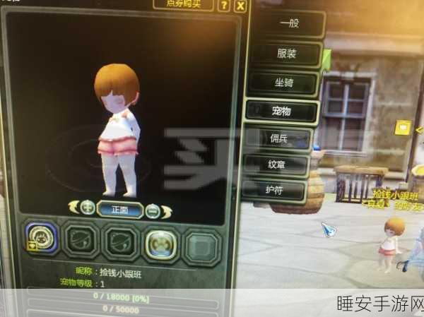 龙之谷2时空领主深度攻略,玩转时空,宠物搭配与加点秘籍
