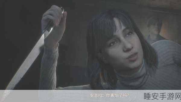 寂静岭2深度攻略，蓝溪公寓阀门全揭秘，直击关键剧情转折点