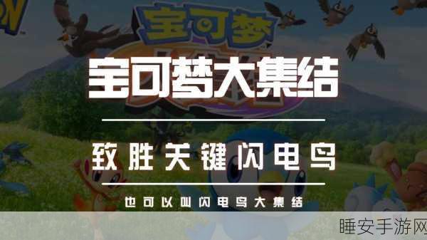 宝可梦大集结,大师局制胜秘籍,揭秘高端局关键战术与技巧