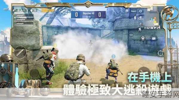 揭秘刺激战场国际服越南服，战火纷飞中的竞技盛宴