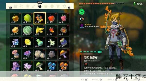 海拉鲁勇士必备!塞尔达传说海拉鲁套装全收集深度攻略