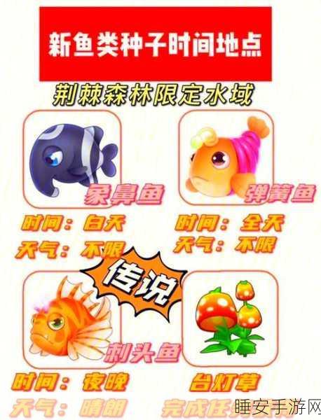 摩尔庄园深度揭秘,眉毛鱼的神秘魅力与捕捉攻略