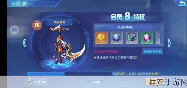 时空猎人V19，价格与价值共舞的神秘游戏之旅