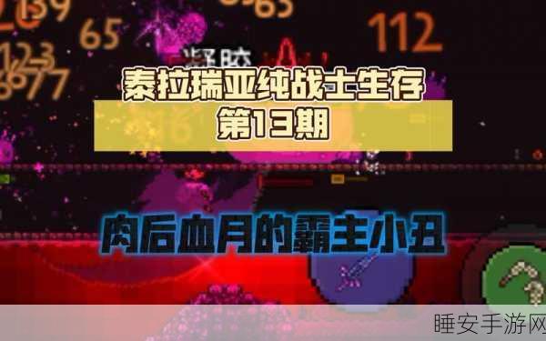 泰拉瑞亚小丑掉落大揭秘,稀有物品与高效攻略一网打尽