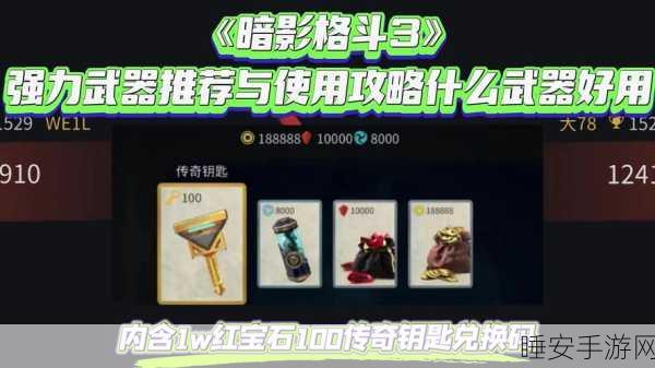 暗影格斗3,顶尖连招揭秘,格斗场霸主养成攻略