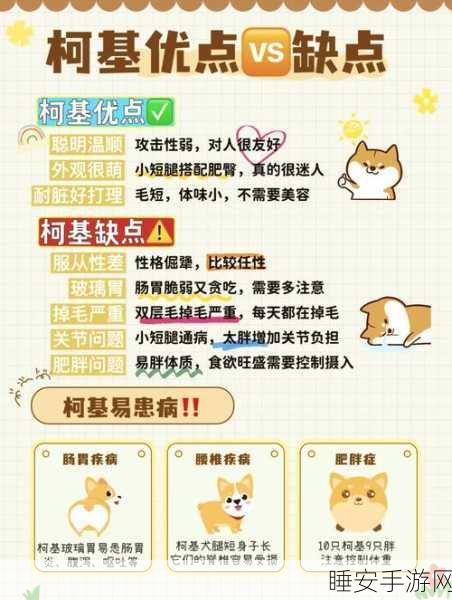 萌宠助战，龙之谷手游柯基犬全攻略及战斗属性深度剖析