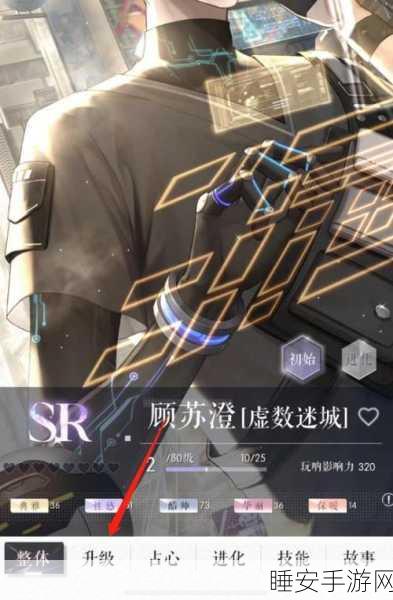 以闪亮之名,深度解析羁绊培养策略,打造顶级社交体验