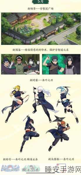 火影忍者OL，深度剖析，揭秘顶级强忍的养成之谜