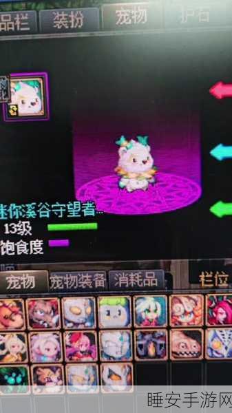 DNF小龙宠物色彩盛宴，哪款颜色外观最吸睛？