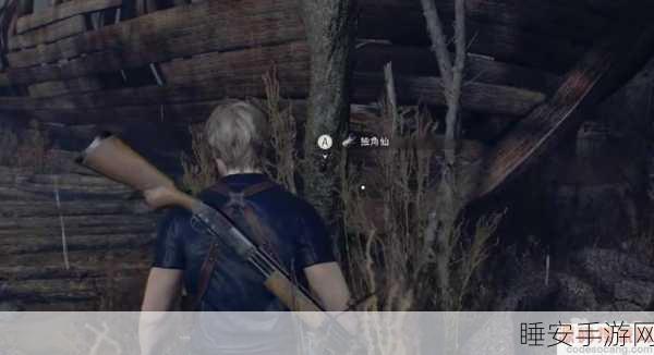 生化危机4重制版,揭秘独角仙挂件隐藏位置与获取攻略