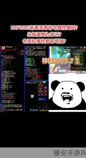 DNF高性价比称号揭秘，玩家必备的经济实惠之选
