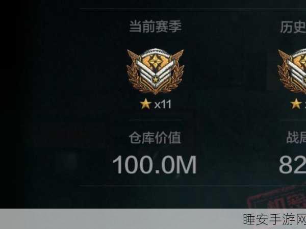 暗区突围，仓库爆满不再愁，高效管理策略助你物资满载