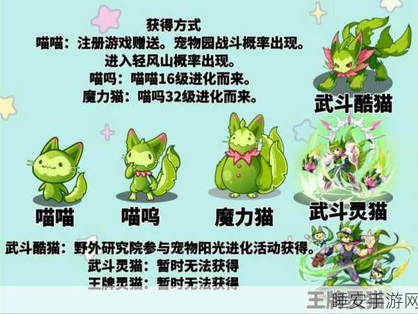 洛克王国，打造顶尖魔力猫，技能搭配与性格调整全攻略