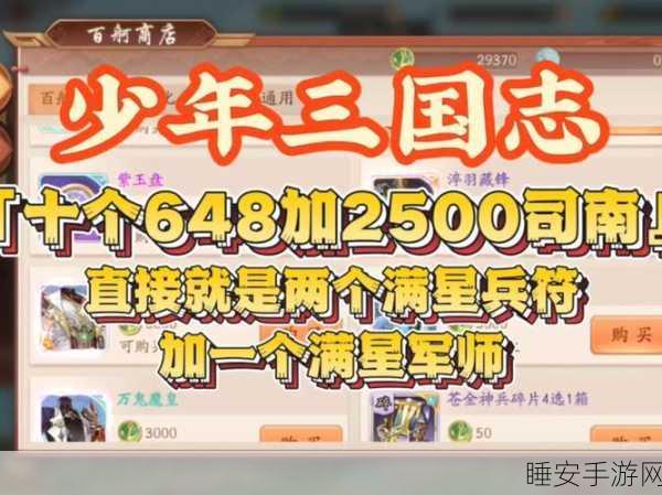 少年三国志，龙骧军师精选攻略，资源高效管理与实战技巧深度剖析