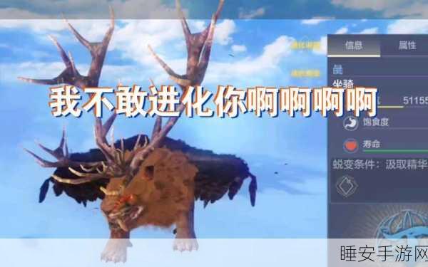妄想山海，揭秘宠物进化圣地与进化攻略