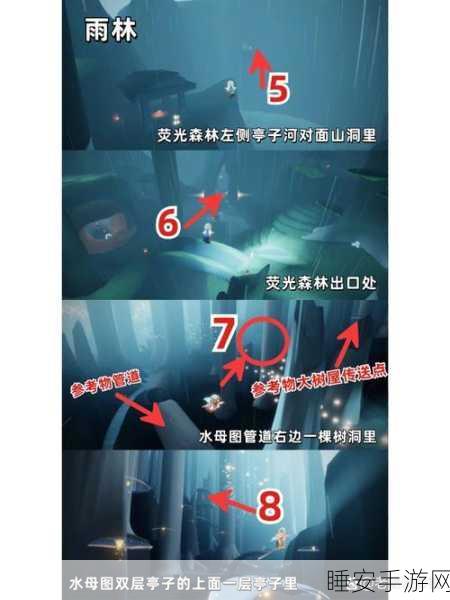 雨林探险揭秘，光遇捉迷藏先祖隐藏位置全攻略