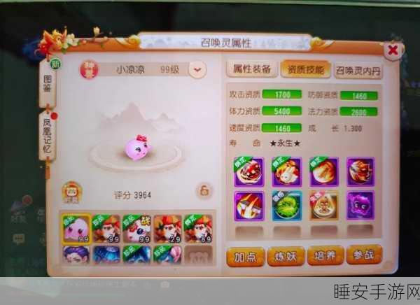 梦幻西游手游，开箱秘籍！宠物经验速升攻略与实战技巧大揭秘