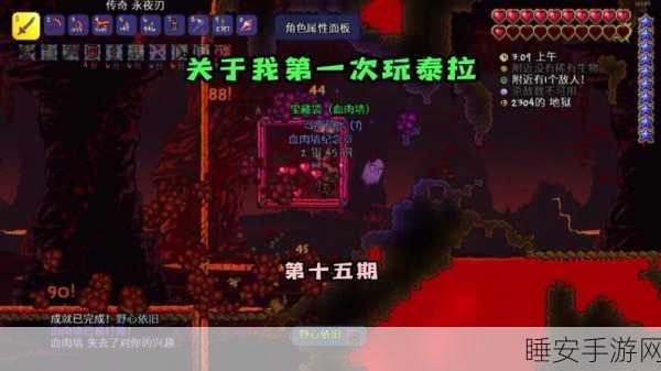 泰拉瑞亚奇遇，揭秘蜜蜂披风背后的探险盛宴