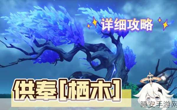 原神探索迷雾秘境，栖木供奉任务全攻略