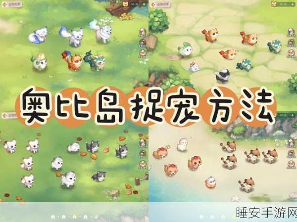 奥比岛手游深度解析，宠物解锁等级及养成攻略大揭秘