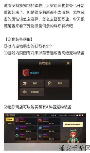 DNF手游宠物养成攻略，解锁宠物装备属性强化秘籍