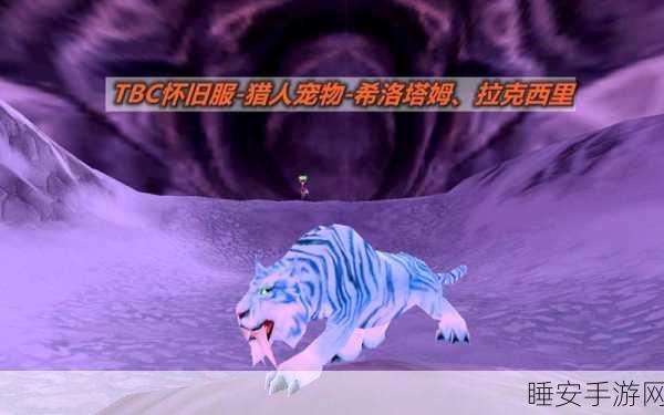 魔兽怀旧服深度解析，拉克西里与希洛塔姆，两大稀有猎宠的终极对决