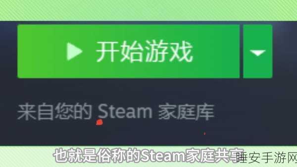 Steam家庭共享新攻略，如何精准限制游戏访问权限
