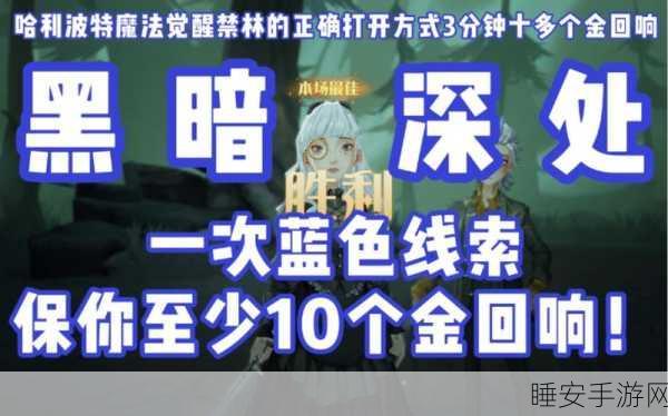 哈利波特魔法觉醒，蓝色禁林探险全攻略，线索助你畅通无阻