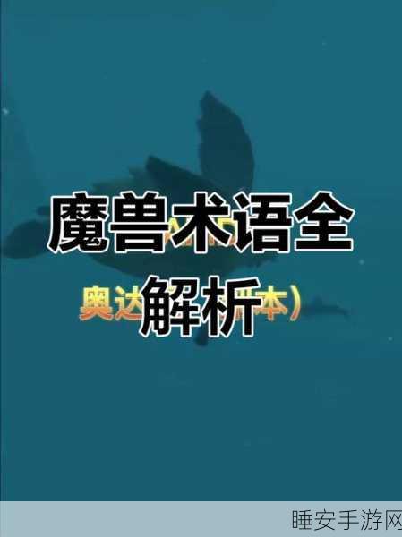 魔兽国服新手必看，解锁交流密码，掌握魔兽常用缩写与术语大全