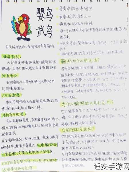 秘境探秘，南极星灯塔下的魔法鹦鹉奇遇赛全解析